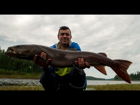Видео: Север 2018. 1 часть.