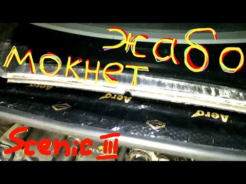 Видео: ЖАБО мокнет ! Сценик 3 Scenic 3