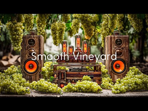 Видео: Smooth Vineyard | Расслабляющие грувы для Вечера Урожая