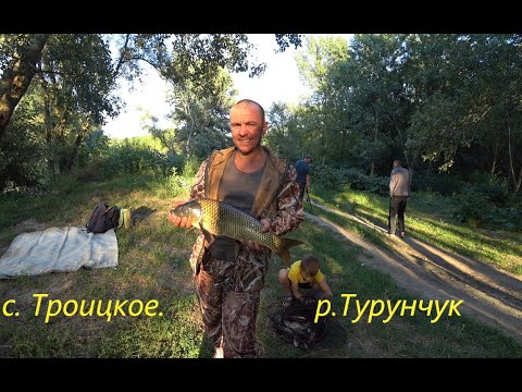 Видео: р.Турунчук  , рыбалка в с.Троицкое за мостом.