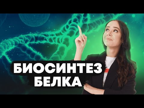 Видео: Биосинтез белка: Открытая рамка считывания