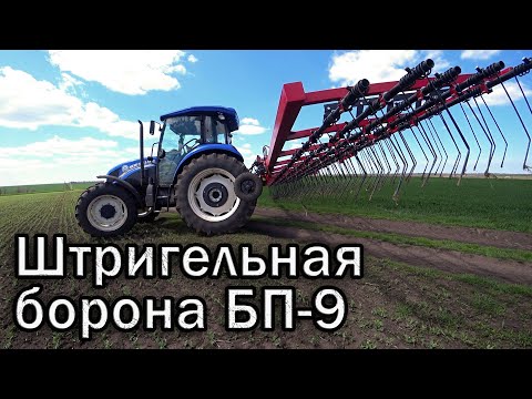 Видео: Штригельная борона БП-9 Октавия по всходам гороха.