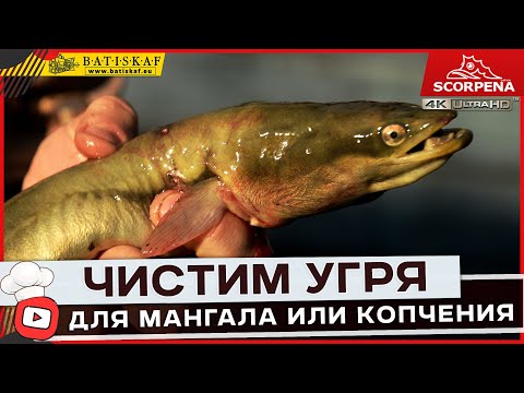 Видео: Как правильно почистить  угря для мангала или копчения