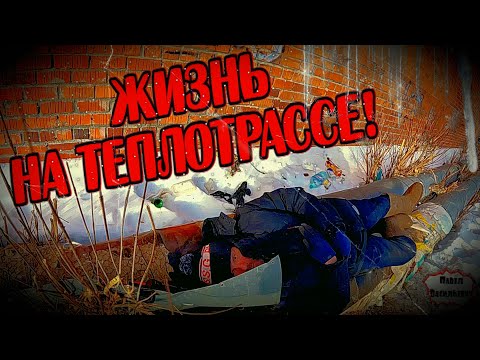 Видео: БУЛЬДОГ СПЕШИТ НА ПОМОЩЬ / 16 серия (18+)