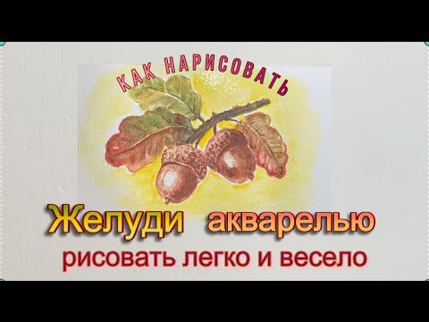 Видео: Желуди осенние. Как  нарисовать акварелью. Первые шаги в акварели