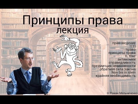 Видео: Принципы права