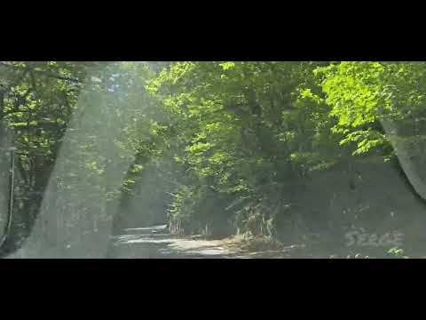 Видео: Ты моё море - Мама