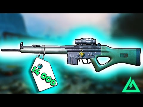 Видео: СУПЕР БЮДЖЕТНАЯ И ЭФФЕКТИВНАЯ СБОРКА В DELTA FORCE