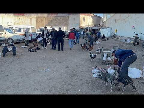 Видео: ХОРАЗМ ХАЗАРАСП ПАРРАНДА БОЗОРИ НАРХЛАРИ 28-октябрь 2025￼