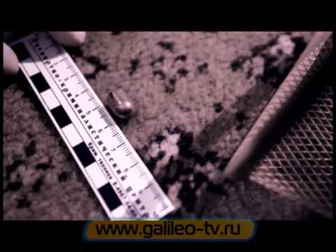 Видео: Галилео. Криминалистика 5. Баллистика