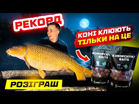 Видео: НА ЦЕЙ КОРМ заходить риба ТОННАМИ! Новинка КАРПФІШИНГА 2024! Короп клює триплетами!