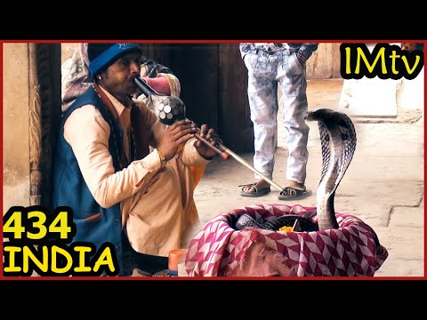 Видео: ИНДИЯ Хоть Козу Пощупать) Вриндаван Заклинатель Змей