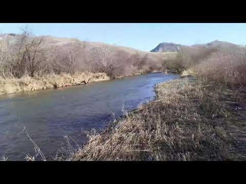 Видео: Осень.Река.