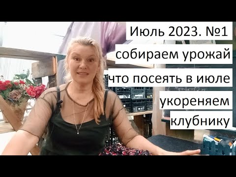 Видео: Июль 2023 серия №1. Размножение клубники. Что посею в июле. Собираем урожай.