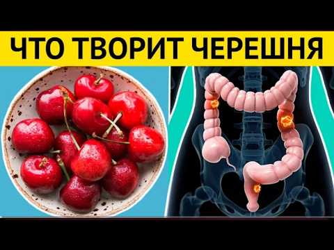 Видео: Черешня  польза и вред, зачем ты зря выкидываешь косточки и ветки, и что будет, если есть её часто