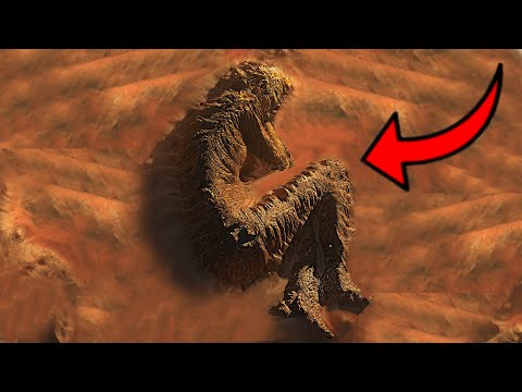 Видео: ЭТИ ЗНАНИЯ СКРЫВАЮТ от нас! РЕАЛЬНАЯ ИСТОРИЯ о МИРЕ камней!