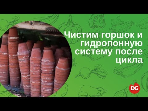 Видео: №46 Как прочистить гидропонную систему и горшок после цикла