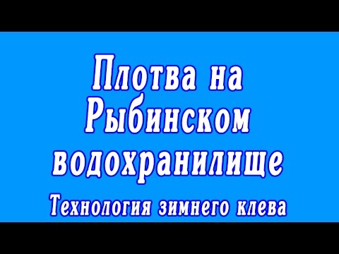 Видео: Плотва на Рыбинском водохранилище | Технология зимнего клева