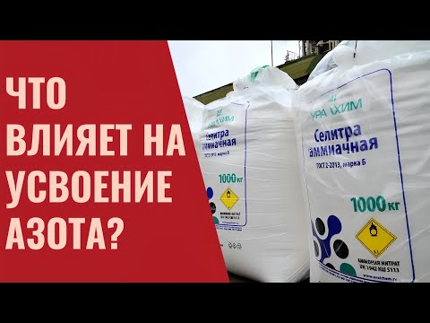 Видео: Как уменьшить нормы внесения азотных удобрений без потери урожая