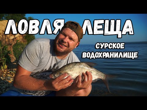 Видео: Ловля огромного леща на Сурском водохранилище. Рецепт курицы в пиве в казане. Люди у которых клюёт.