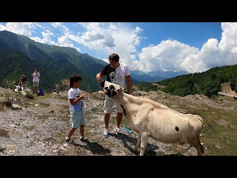 Видео: Из Батуми в Сванетию. Высокие горы Грузии. Сванетия летом. По Грузии на автомобиле.
