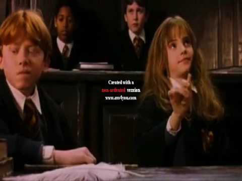 Видео: Рон и Гермиона-чудная идея
