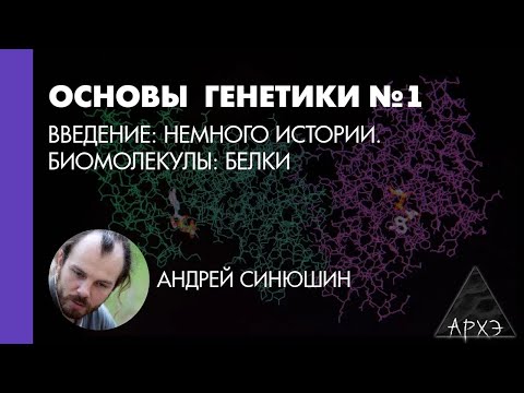 Видео: Андрей Синюшин: Введение в генетику: немного истории. Биомолекулы: белки (Л.1)
