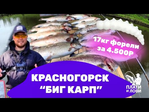 Видео: #2 ЛУЧШАЯ РЫБАЛКА НА ФОРЕЛЬ. БЕЗЛИМИТ В КРАСНОГОРСКЕ . Резина рулит.