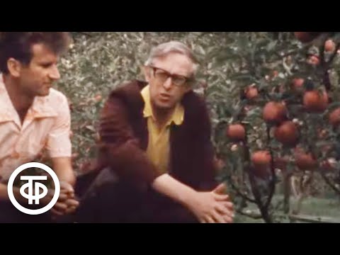 Видео: Наш сад. Метод "Таганрогской лодочки" (1983)