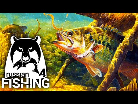 Видео: 🦈РУССКАЯ РЫБАЛКА 4🦀КОПИМ НА ELECTRO RAPTOR🐠ДЕНЬ 7