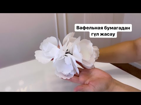 Видео: Вафельная бумагадан гүл жасап үйренейік