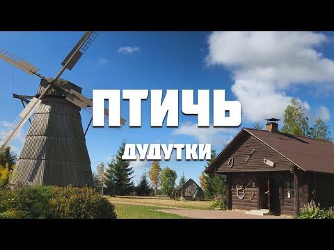 Видео: Птичь от истока до устья (ч. 5)