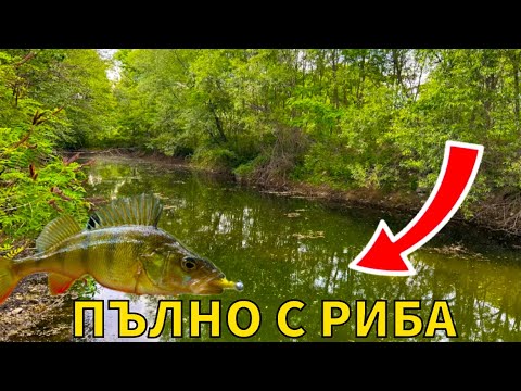 Видео: ОТКРИХМЕ МАЛКО гьолче ПЪЛНО С РИБА! Риболов на КОСТУР!