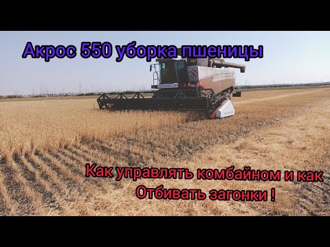 Видео: Комбайн :Акрос 550 уборка пшеницы ,как управлять комбайном и бить загонки !