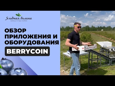 Видео: Обзор приложения и оборудования для калибровки и фасовки ягод Berrycoin