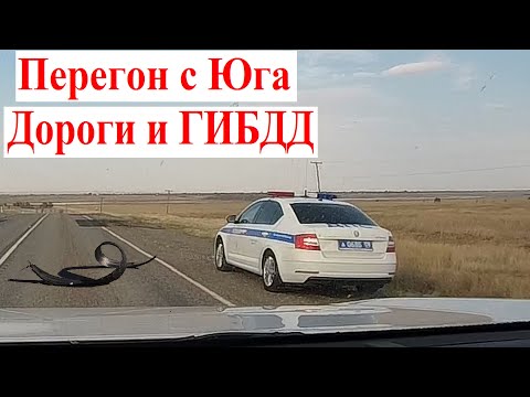 Видео: Перегон с Юга 🏝 Пустыня и Миллион Камер ГИБДД 😍 Перегоню Авто из Владивостока Цены RAV4 или Tank 300