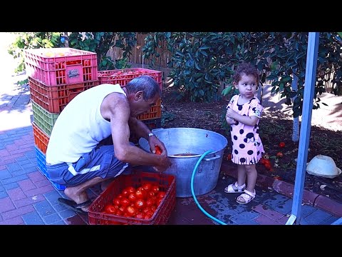 Видео: Будни русско-арабской семьи| Ремонт у Амны