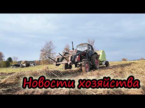 Видео: Будни МОЛОЧНИКА // Как кормим коров // Приводим поля в порядок // Урожай тыквы // Новости хозяйства