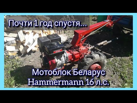 Видео: Мотоблок Беларус Hammermann 16 л.с. :  Почти год спустя эксплуатации