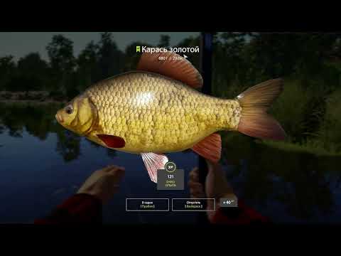 Видео: #8 ВОТ ЭТО МЫ УДАЧНО ЗАБРЕЛИ! ▶ Russian Fishing 4