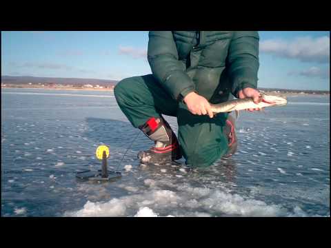 Видео: ЛОВЛЯ ЩУКИ НА ЖЕРЛИЦЫ 2019, ОЗ.ИВАН ЗАБАЙКАЛЬСКИЙ КРАЙ