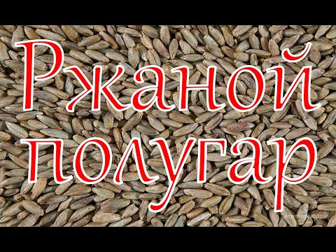 Видео: 100% Ржаной полугар