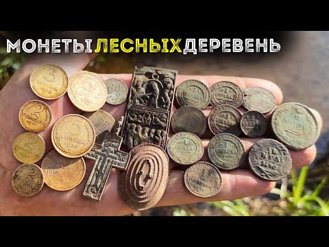 Видео: В лесной деревне МНОГО монет. Коп поиск монет 2024