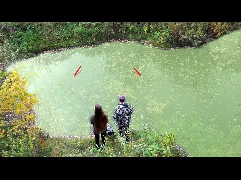 Видео: ЛУЖА У РУЧЬЯ ВЫДАЁТ...ВЕСЬ КРУПНЯК на ПОПЛАВОК! Хапок на удочку. Рыбалка на карася 2025