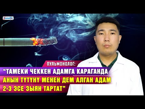Видео: “Кыргызстанда эркектердин 40, аялдардын 15 пайызы тамеки тартат” дейт пульмонолог