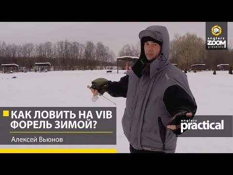 Видео: Как ловить на Vib форель зимой?  Алексей Вьюнов. Anglers Practical