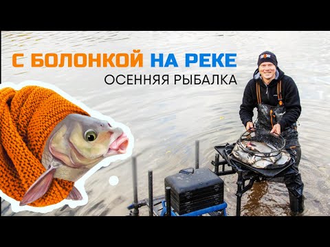 Видео: ЛОВЛЯ НА БОЛОНКУ. Осенняя рыбалка на реке, лещи и крупная плотва радуют поклевками!