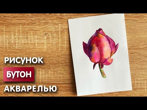 Видео: Как нарисовать бутон карандашом и акварелью начинающим | Рисунок для детей