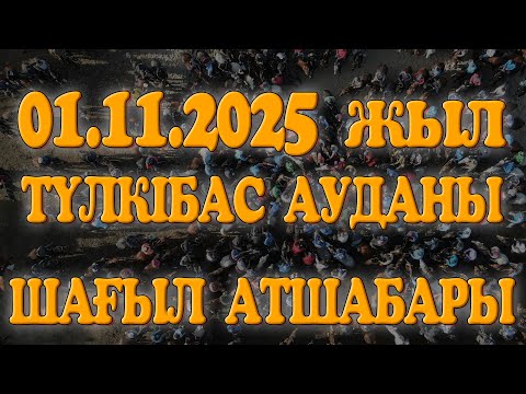Видео: ТҮЛКІБАС АУДАНЫ ШАҒЫЛ АТШАБАРЫ ҰЗАҚБАЙҰЛЫ СЕРІК МЫРЗАНЫҢ ЕЛДЕН БАТА АЛУ КӨКПАР ТОЙЫ! 01.11.2025ЖЫЛ
