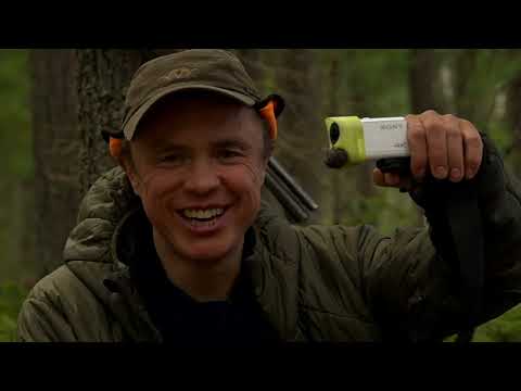 Видео: Ответы на комментарии по видеосъемке . Камеры , Микрофоны , оборудование